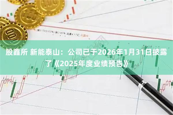 股鑫所 新能泰山:公司已于2026年1月31日披露了《2025年度业绩预告》
